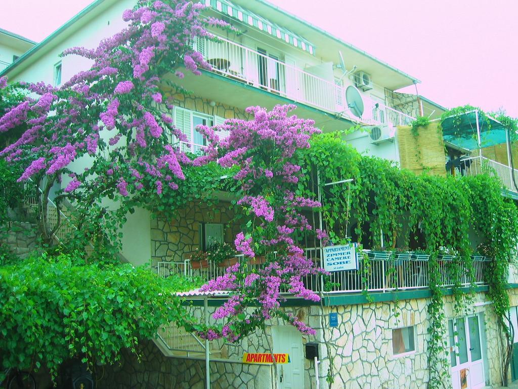 Villa Volga เยลซา ภายนอก รูปภาพ